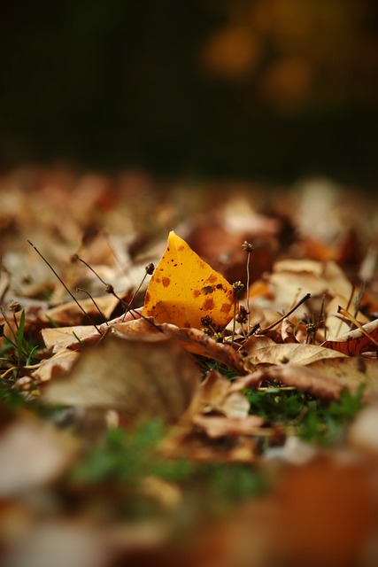 思路充分体 思路充分体