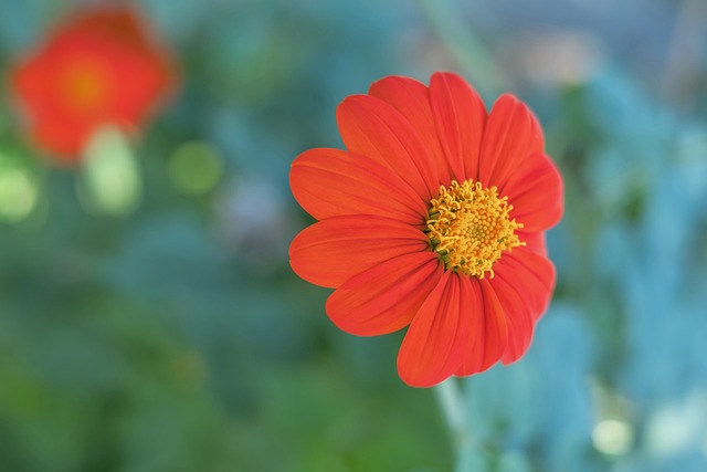 类似的变化 类似的变化