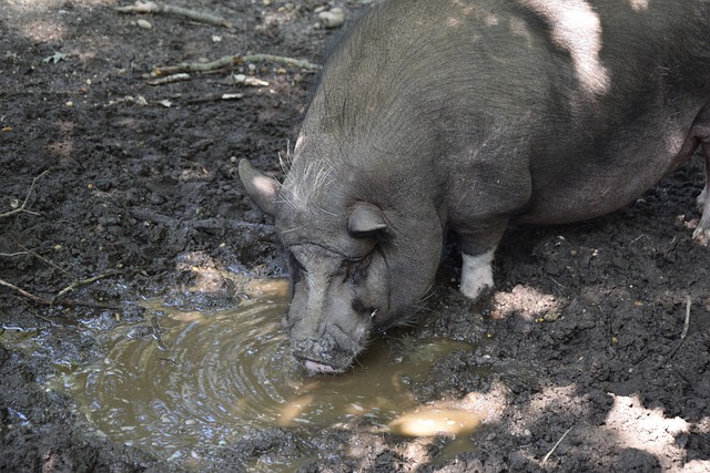 这次左后卫 这次左后卫