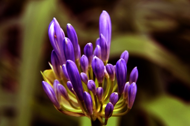 陷入被动 陷入被动