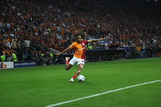 现乏善可陈 现乏善可陈