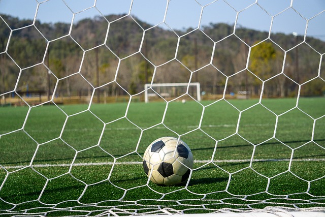 大放异彩 大放异彩