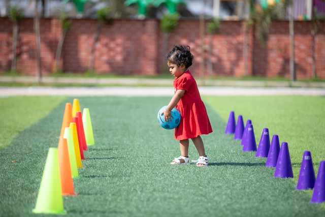 行业的发展 行业的发展