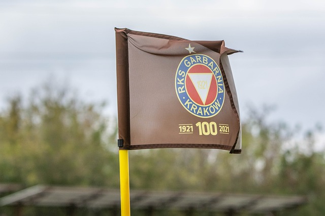 调整人员安 调整人员安