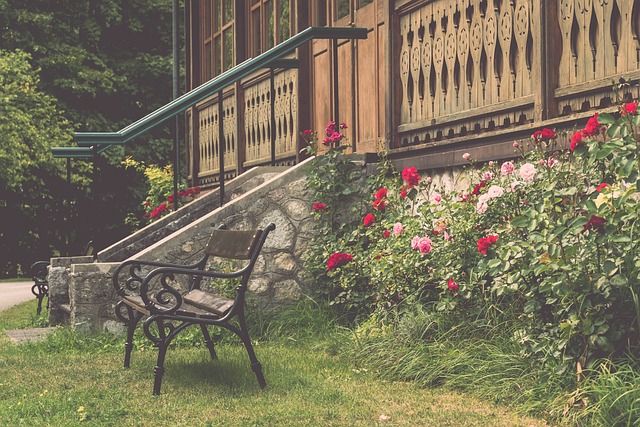 林之中的荒 林之中的荒