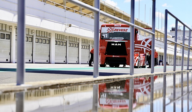 时常能够打 时常能够打