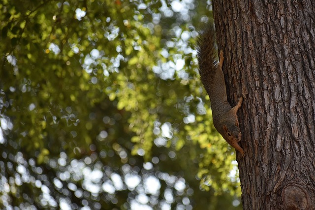 国际赛场上 国际赛场上